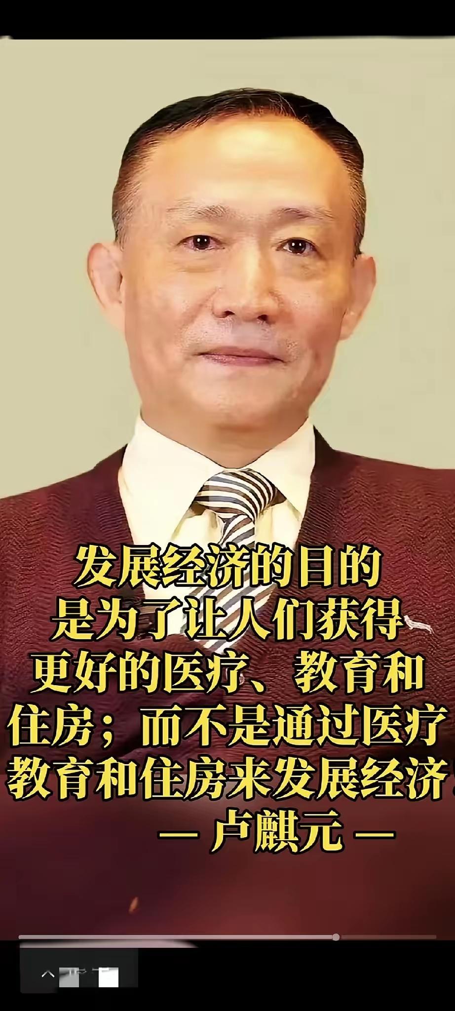 卢麒元：发展经济的目的，是为了让人们获得更好的医疗、教育和住房，而不是通过医疗、