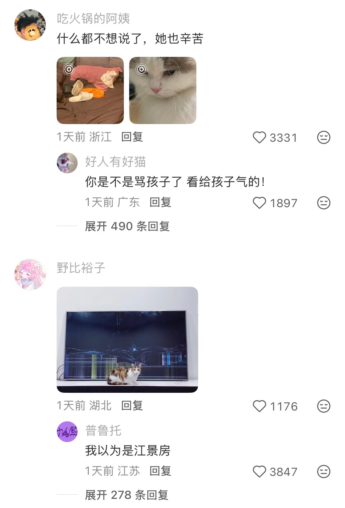 不发猫证明你有猫系列