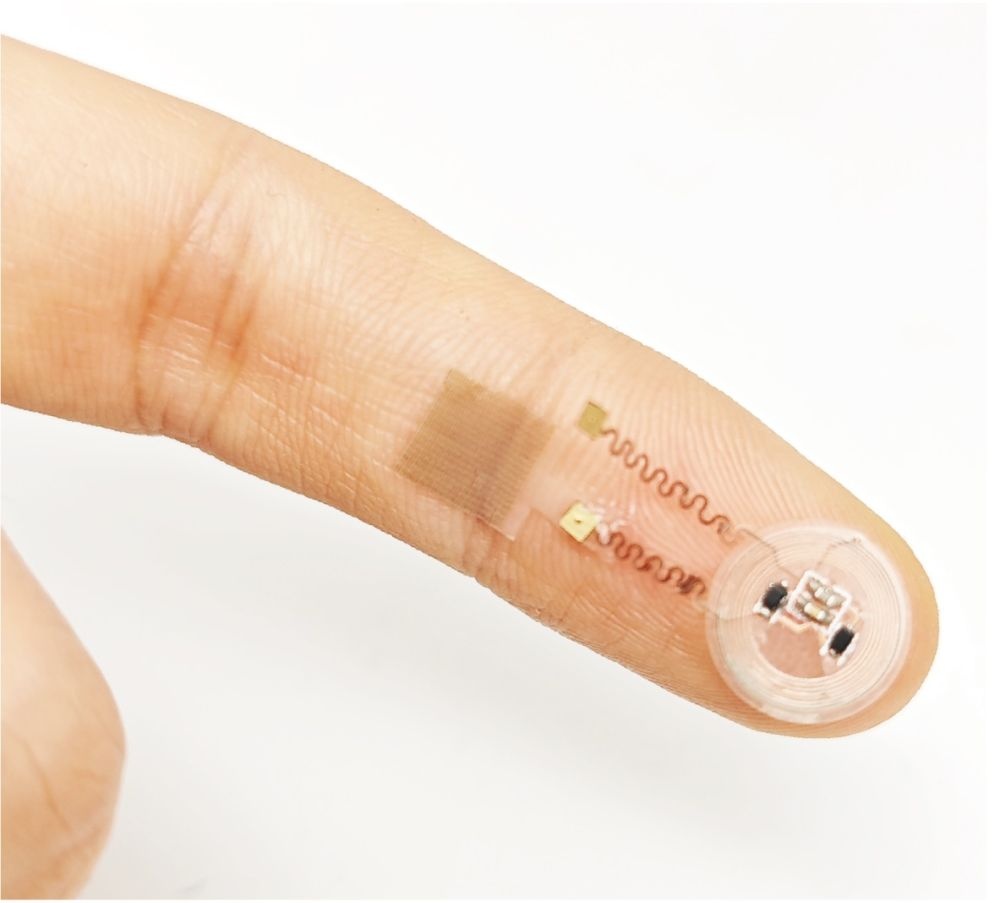 创新剪纸艺术赋能智能‘外衣’，精准治疗器官疾病