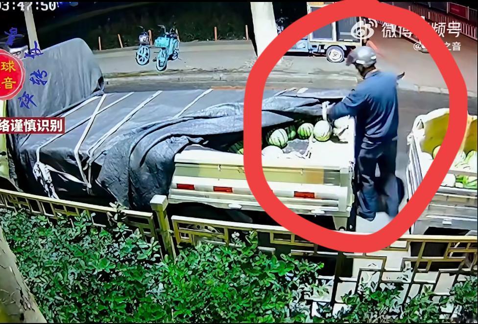 保定一瓜农爆料，堆在车上的西瓜被人多次偷走了15000多斤，报警半个月了，依