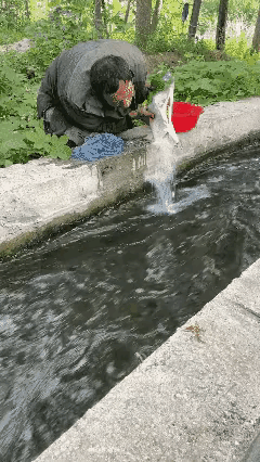 脑子是个好东西[笑着哭][笑着哭]