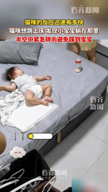 网友震惊了:山东，一婴儿刚洗好澡躺在床上，这时家里养的猫猫走了进来，它矮所以没看