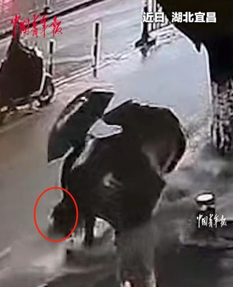 湖北宜昌突下暴雨，街头积水成河，有路人惊见一个黑乎乎的东西在水里漂着，开始还以为