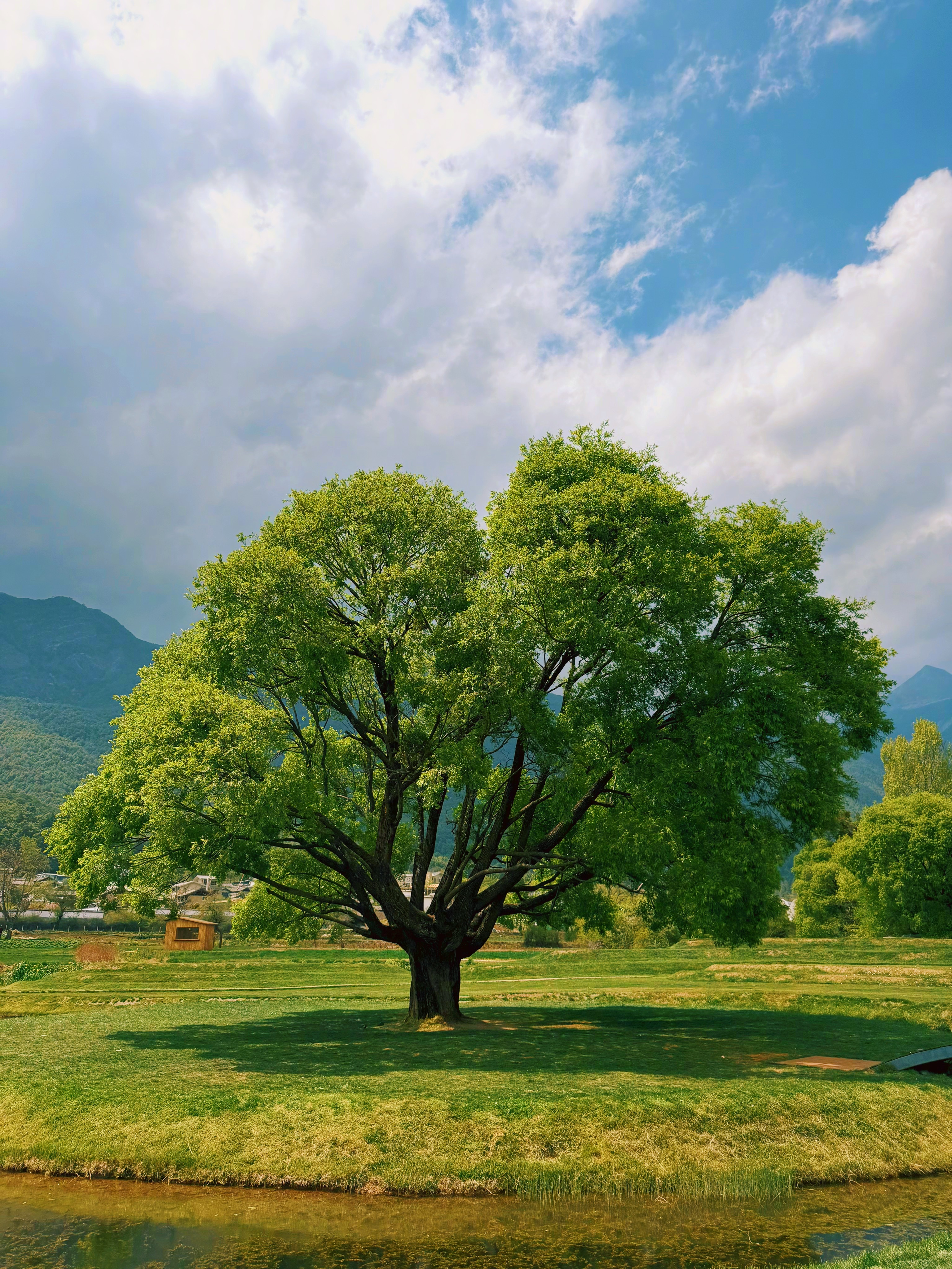 年轻的时候不让自己去历经繁华，你就亏欠了自己。年纪大了不让自己恢复到简单，你就可