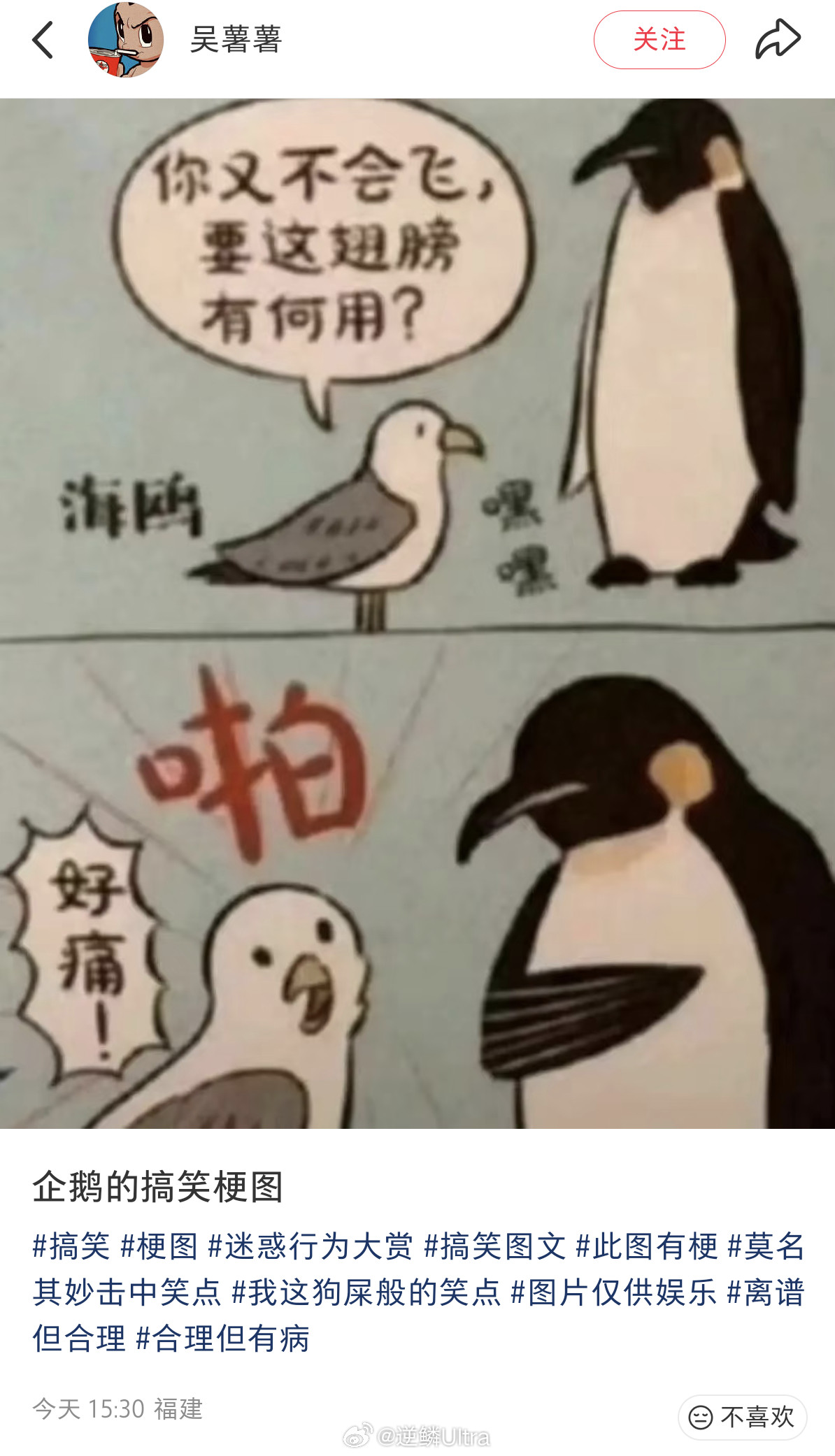 莫名的有点好笑