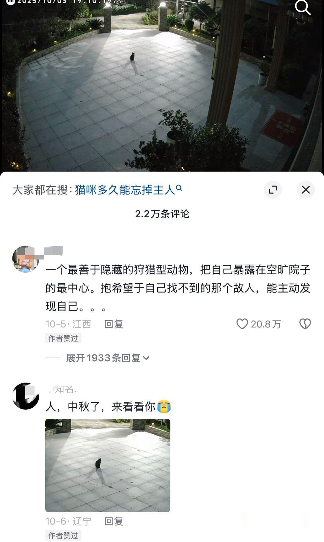 所以猫咪到底多久能忘掉主人