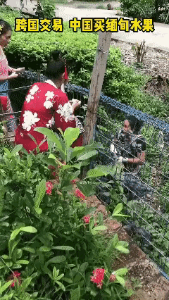 这个挺好的，不用坐飞机就可以买到进口的东西。