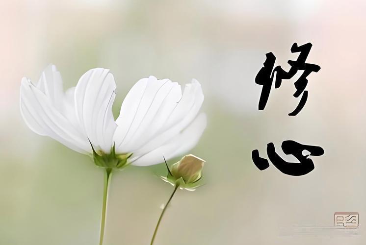 人生修到第10层，才叫真正的活明白1、把抱怨戒掉，是成熟——抱怨没用，一切靠