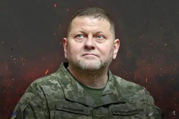 乌克兰icon武装部队前总司令扎卢日内表示，部队的撤退行动如果以保存官兵生命为目