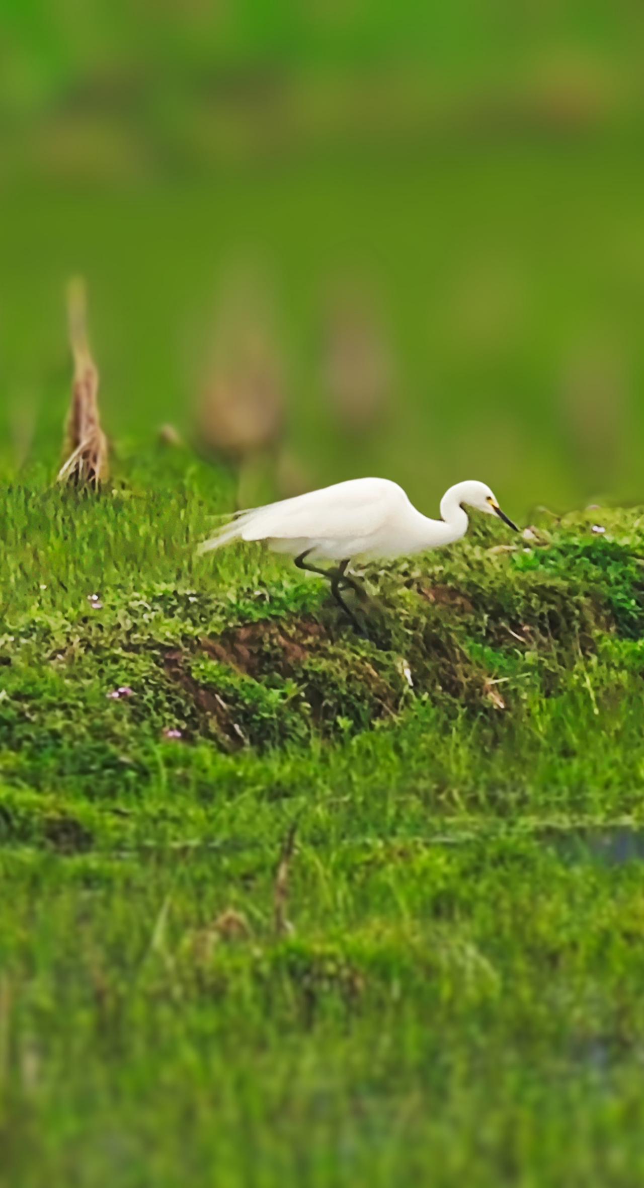 觉醒后，只要你不在乎，他人不怀好意的纠缠，乃至故意刁难的伎俩，不把如此这