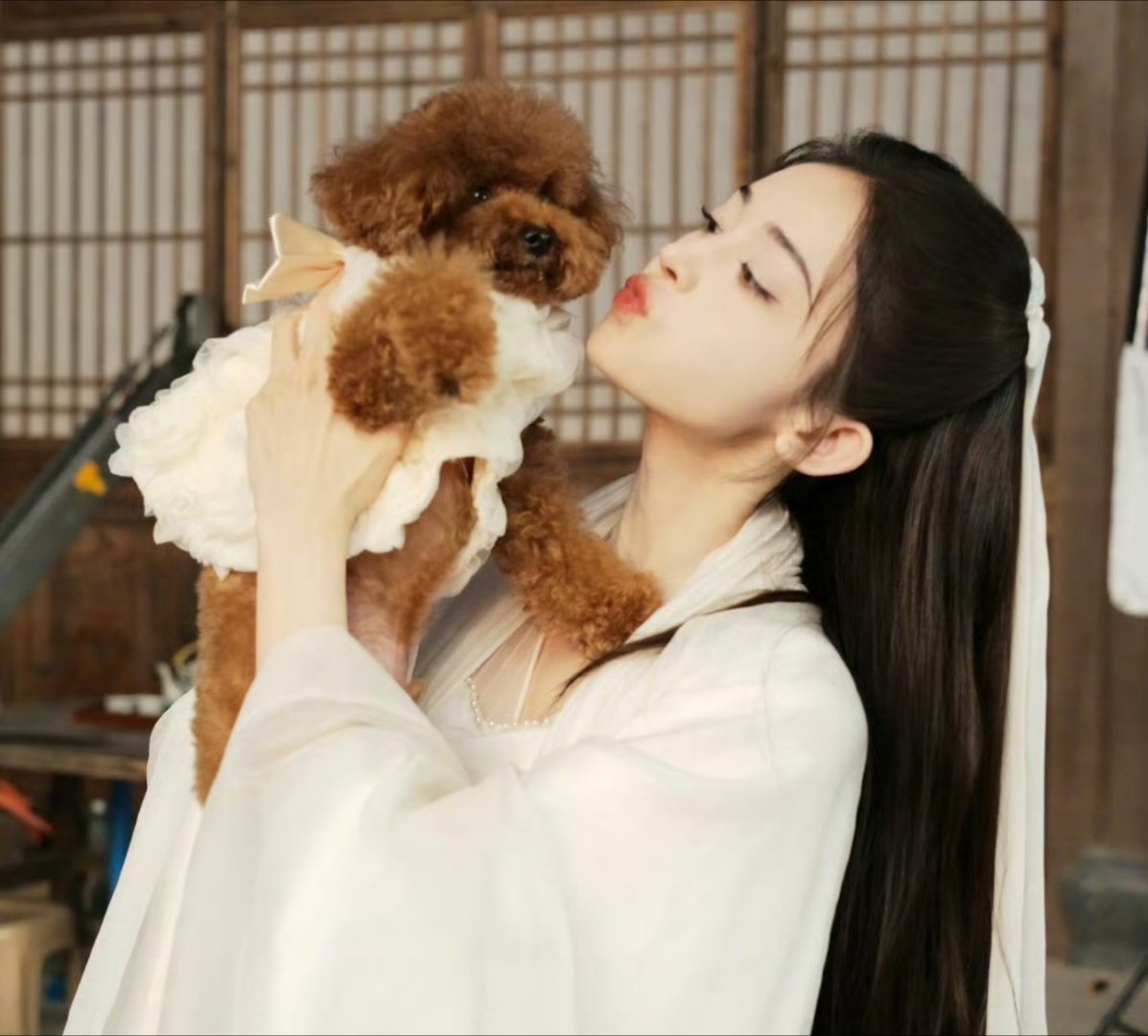 娜扎这组还有库存！喜欢～好舍不得荣善宝！！