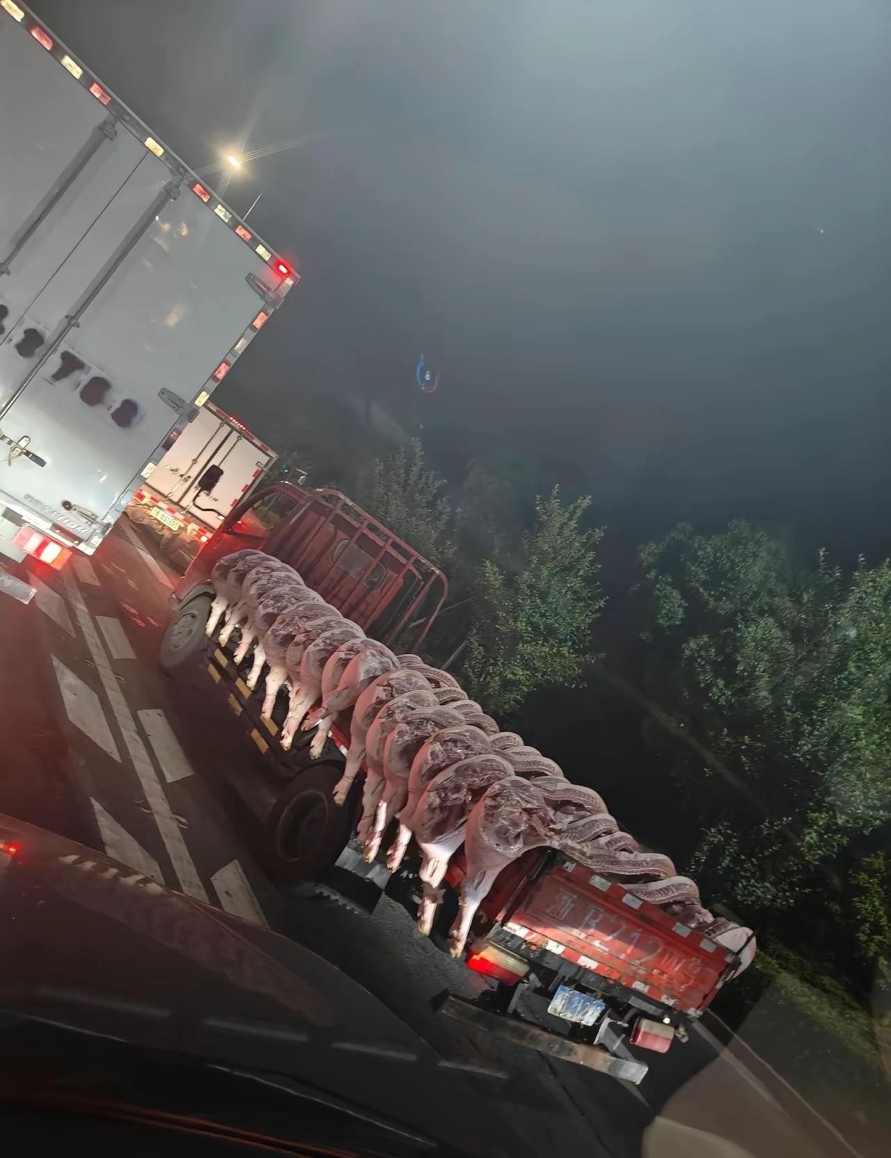 16片猪🐷肉，应该是有整整的8头猪，但是大家都知道，目前的猪肉价格应该是来到了