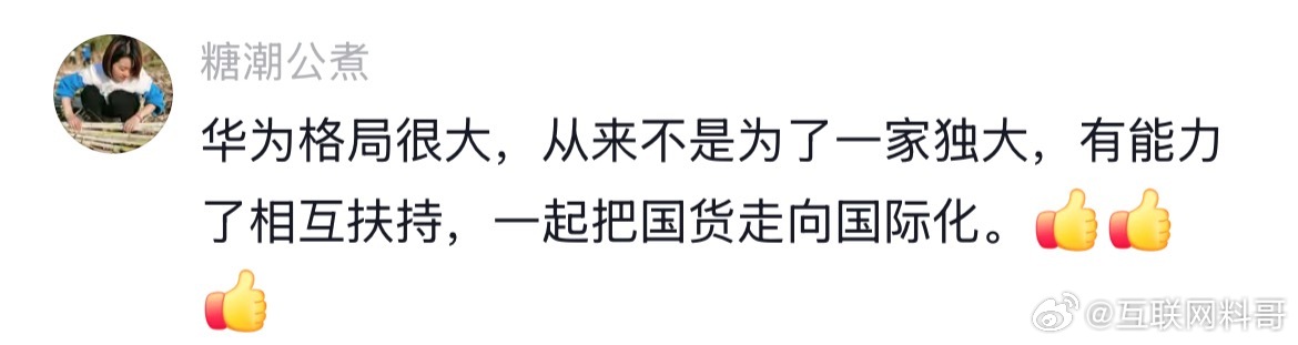 网友把华为看透了！但是，耐不住有人搞背刺，窝里斗。这是一种耻辱！​​​