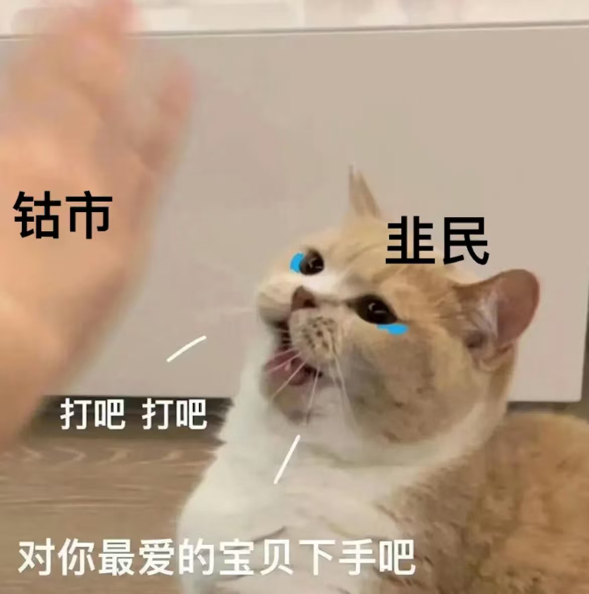 9成美投资者愿加仓中国资产韩国博主用AI恶补A股知识外国人来A股港股是自然的，