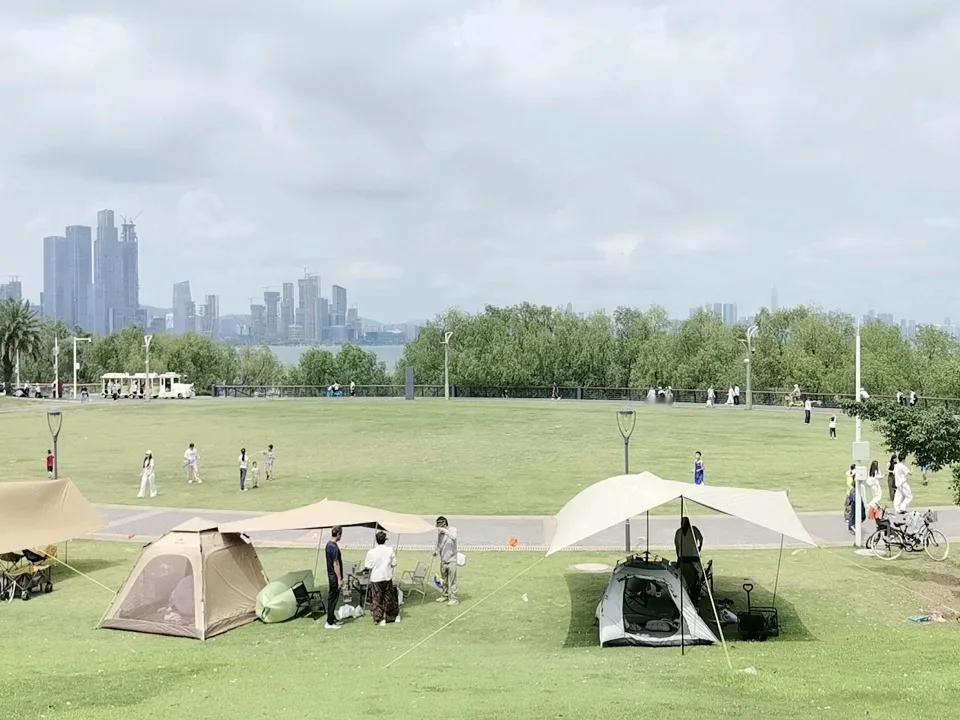五一假期合家出游，深圳湾公园日出剧场确实是个宝藏地。我之前去过，那里的树荫恰到好