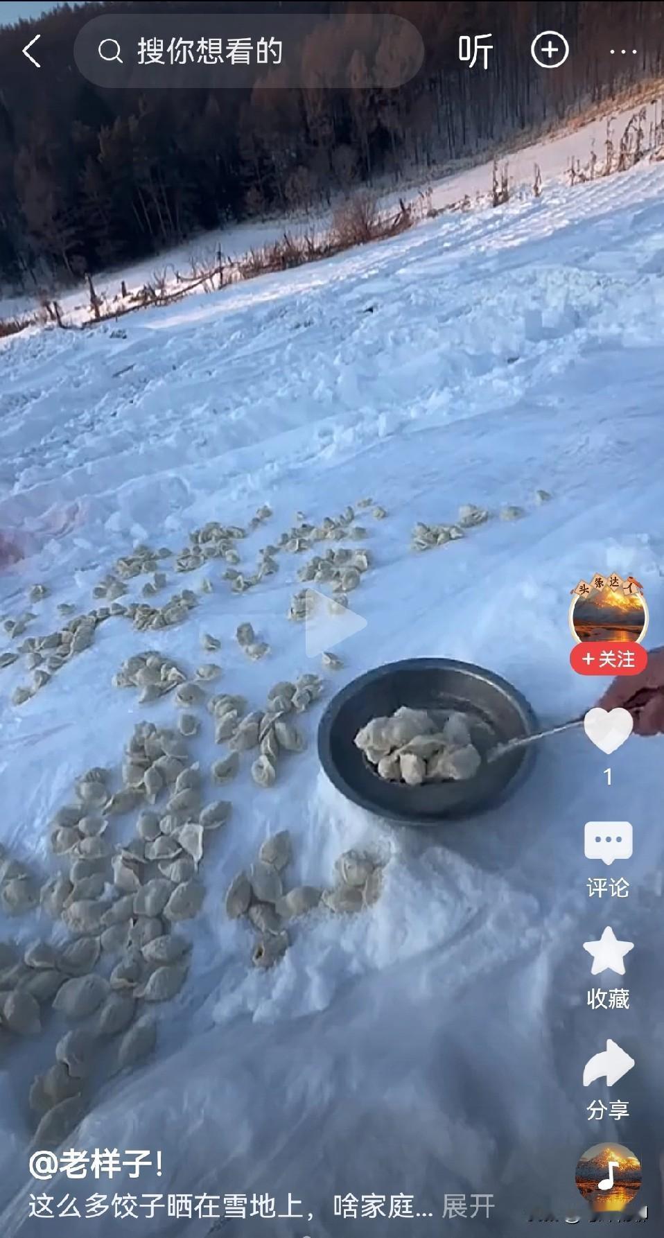 请问，这算不算东北人猫冬的“标配操作”？包起饺子来竟如此随性。无他，只因人家屋外