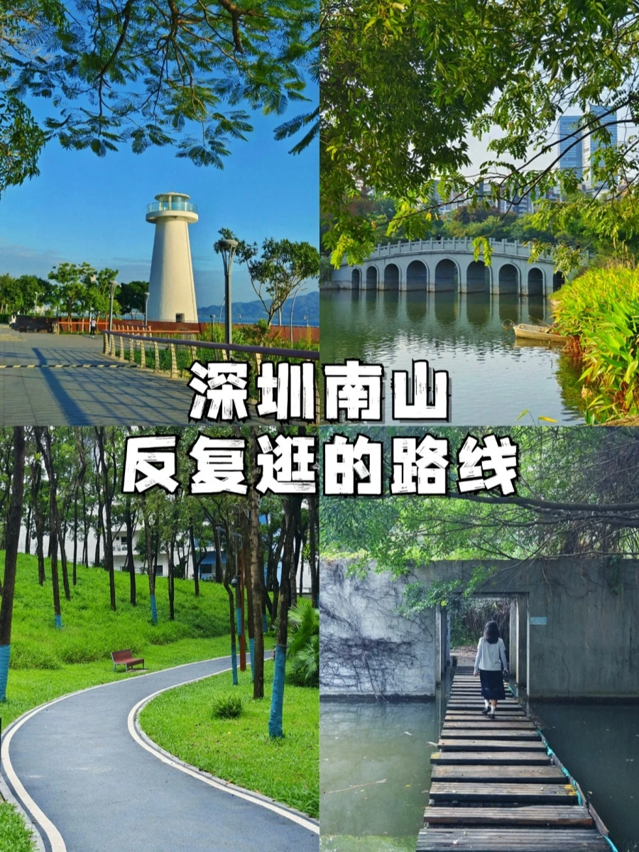 深圳南山会反复逛几条路线☀️