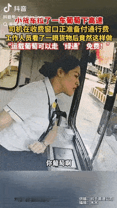 🌞“浙江高速又火了！”9月2日，浙江杭州，货车司机拉了一车葡萄进收费站，可