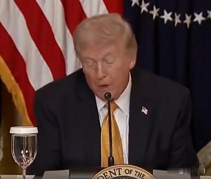 特朗普吐槽：英国首相昨天告诉我："我要跟团队开会决定。"我说："你没必要