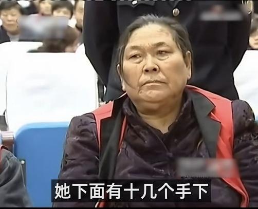 2006年至2008年，安徽亳州当地冒出一支极其特殊的牟利团伙“天骂团”。 