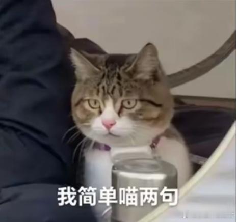 莱芜市名中医张同振先生的这则“右半身冷，左半身热”的医案很有启发，临床上这种病机