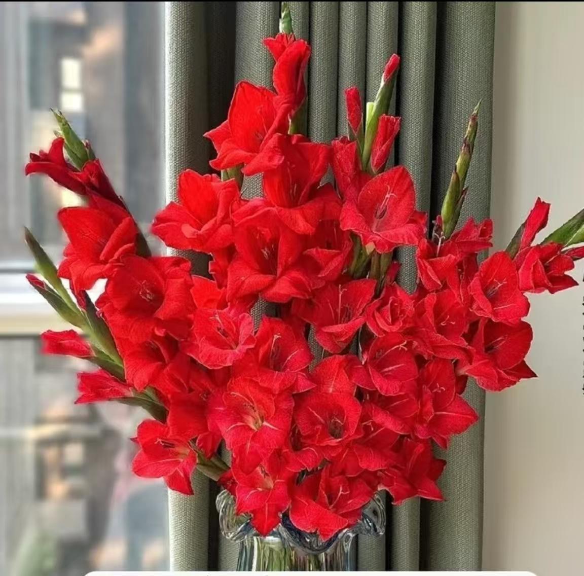 2026年，我就54岁了，还有2年就要退休了：1、管住手，不再买衣服现在