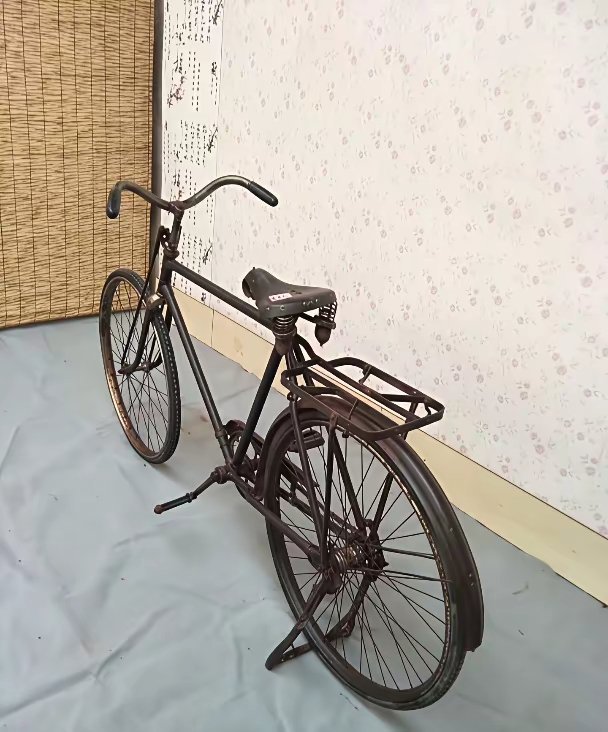 60岁往上的看过来哈！告诉我，这辆自行车有刹车吗？50岁的就别参与了，你肯定没见