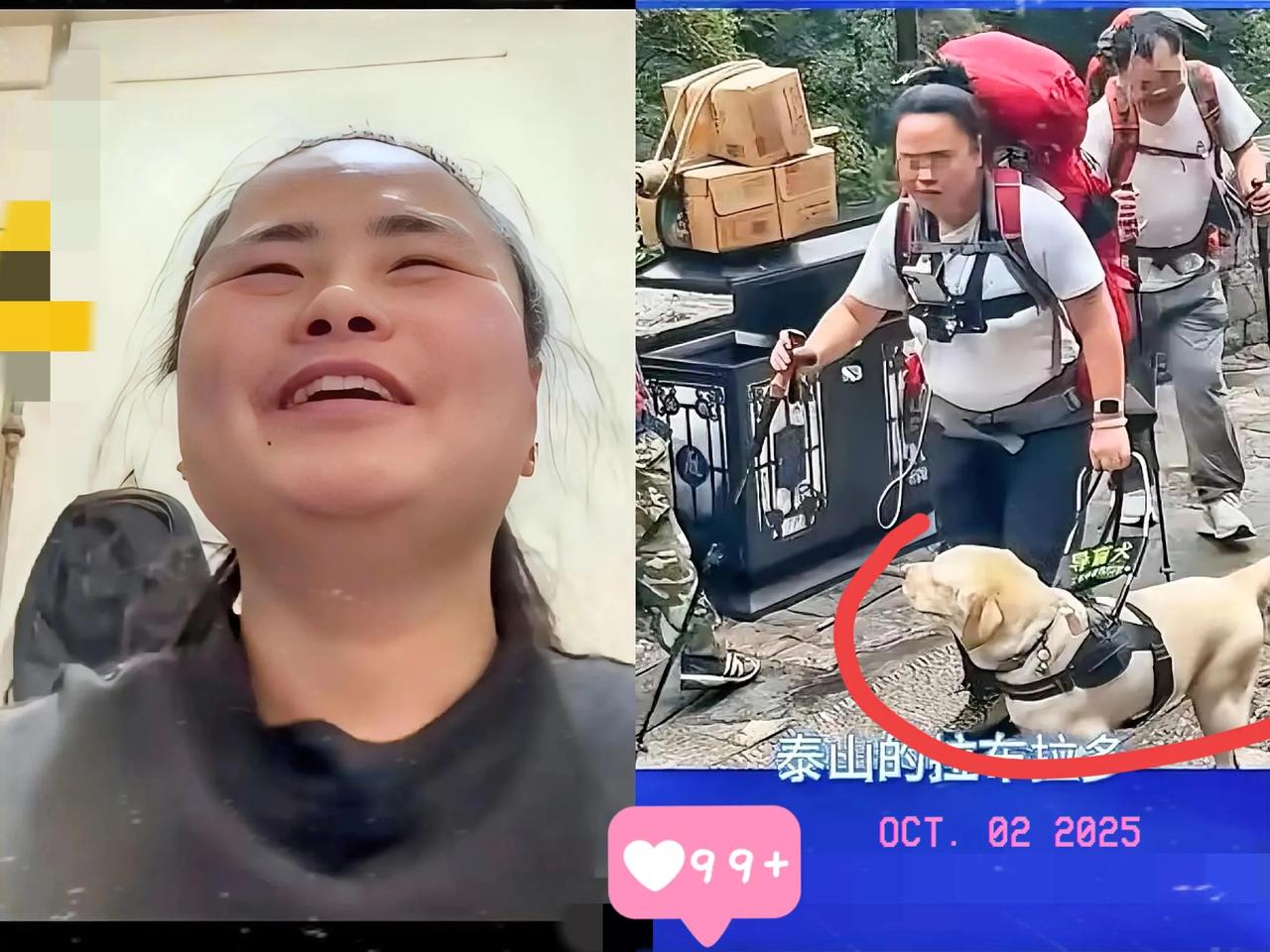 全网都在监督她，因为带导盲犬爬泰山的王营营出面道歉了，她透露因为这件事，不仅失去