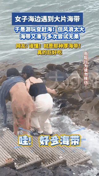 解释不清了！广西，两个女孩去海边游玩，不料，海里飘过来一大群海带靠在海边，这可把