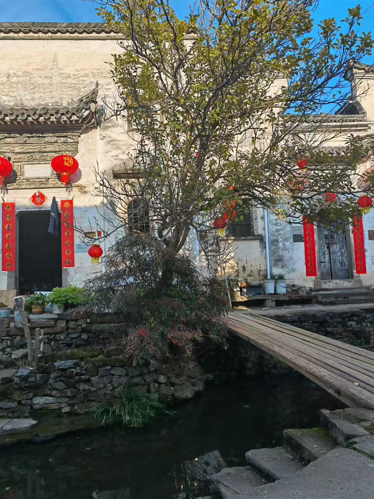 浙江旅游，芹川古村美景攻略🌿