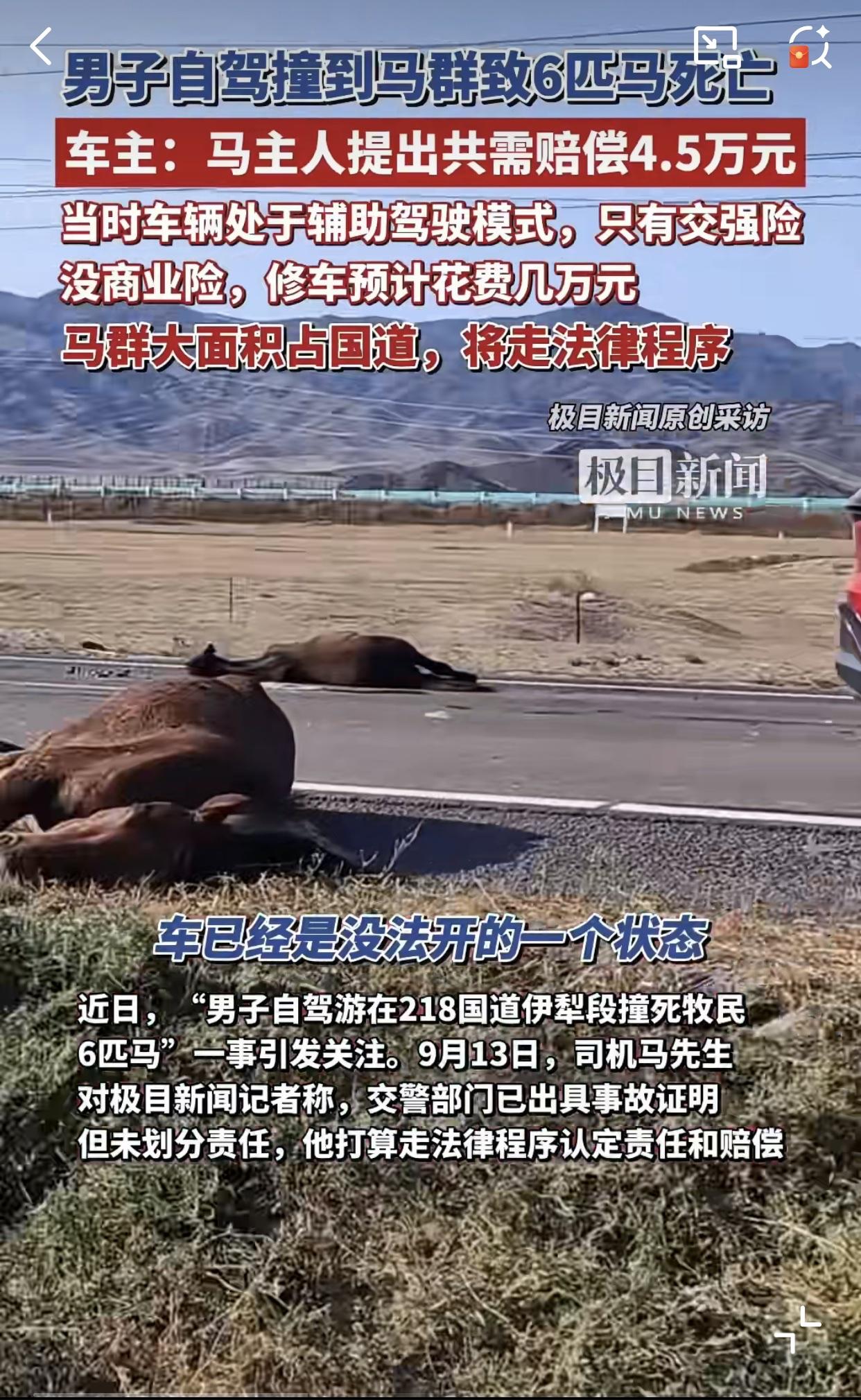 大家自驾游出行一定要记得上商业险，再怎么也的有个第三者，不怕一万就怕万一！近