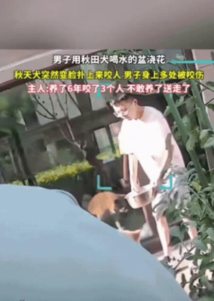 “养不熟的白眼狼！”宁夏，男子用狗喝水的盆浇花，不料，狗狗竟然扑上来，疯狂撕咬狗
