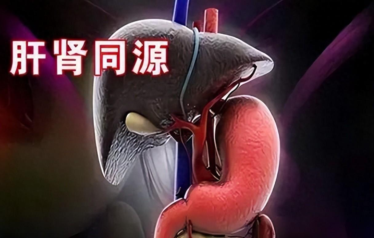 人上年纪肝肾先走下坡路！一定要认识归芍地黄丸大家好，我是中医陈大夫。人一旦过