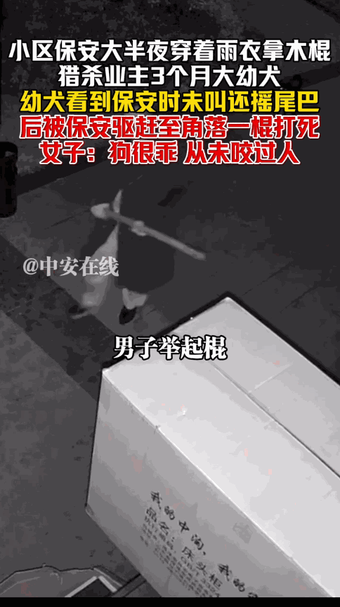 “必须严惩！”12月3日，浙江杭州，一小区保安晚上巡逻时，抄起木棍将女子3个月大