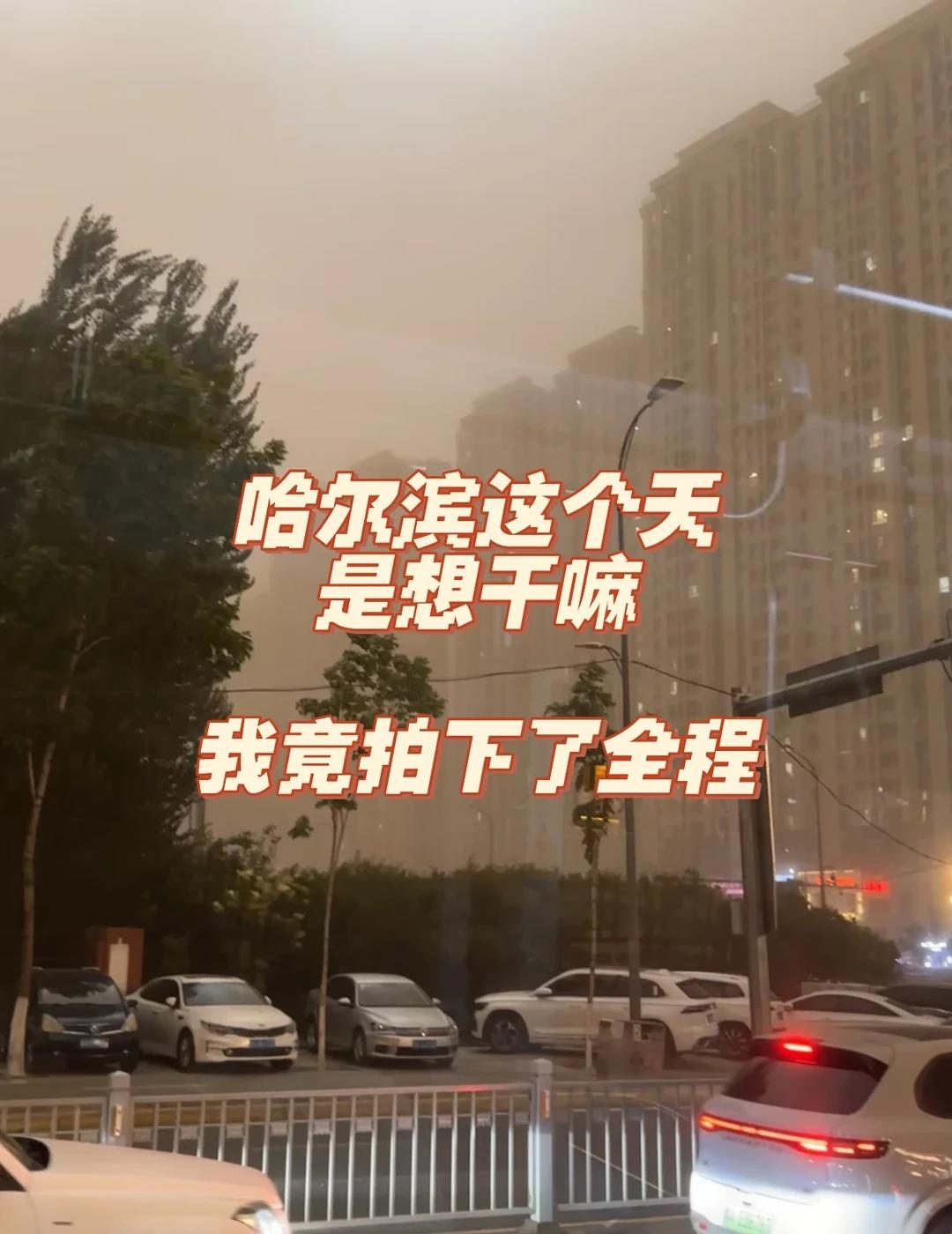 哈尔滨变天全过程被我拍下来了！！今天还是近期最热的一天34度！！尔滨果然是一