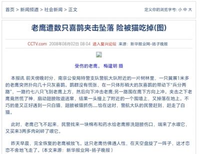 为什么老鹰不吃喜鹊？村里一位养鸟的大爷告诉我，90%的人都不知道，喜鹊是鸟中“流