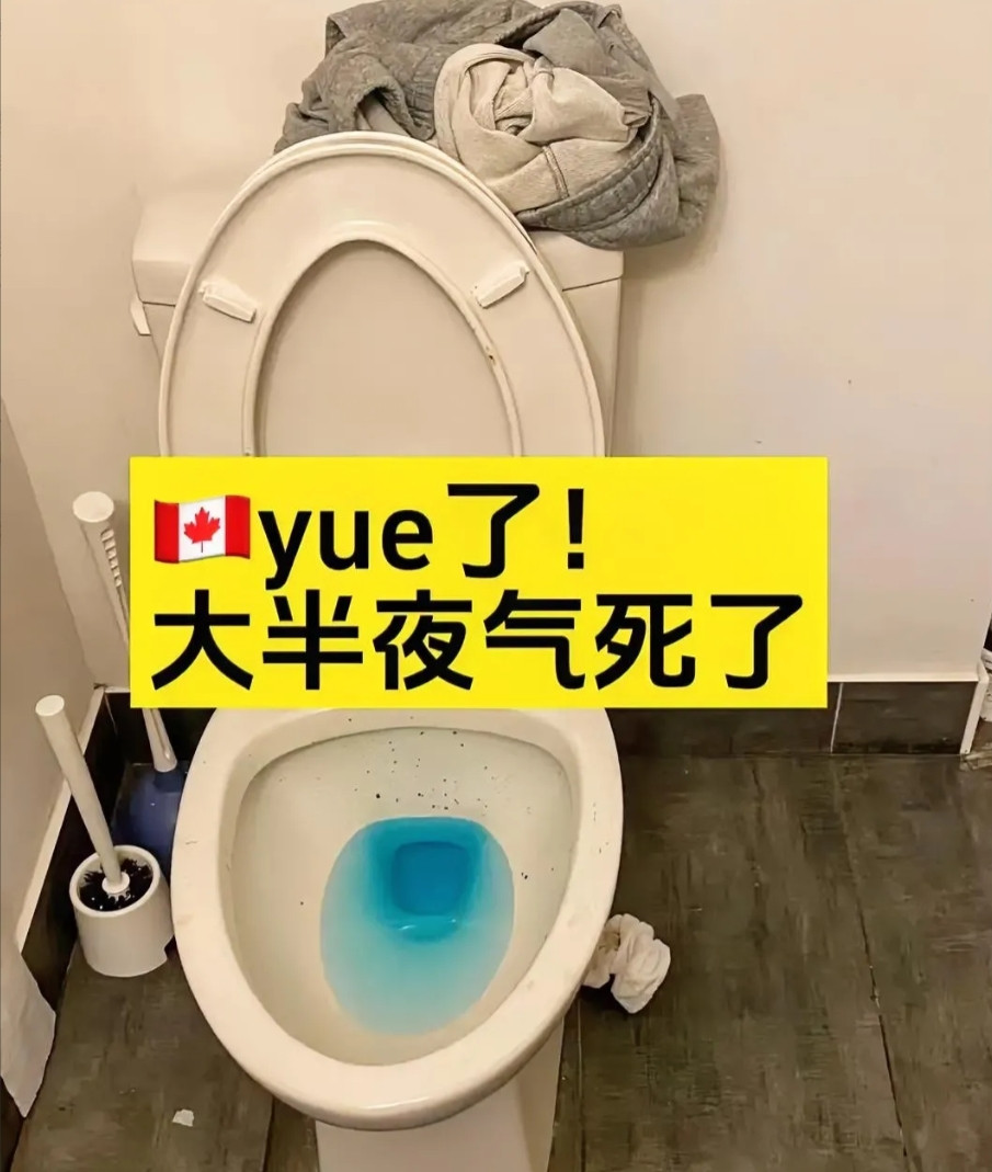 老人味背后的真相，让人又心酸又反思