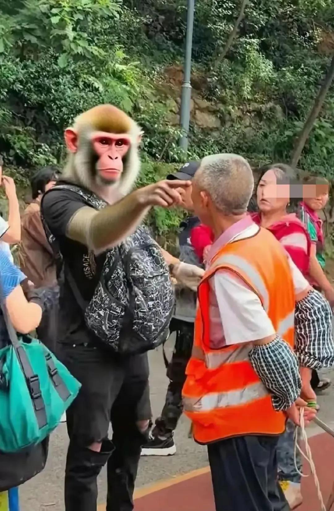 贵州黔灵山驱赶猴子事件黑衣男子打着圣人的旗号真是打脸了三个方面的人1