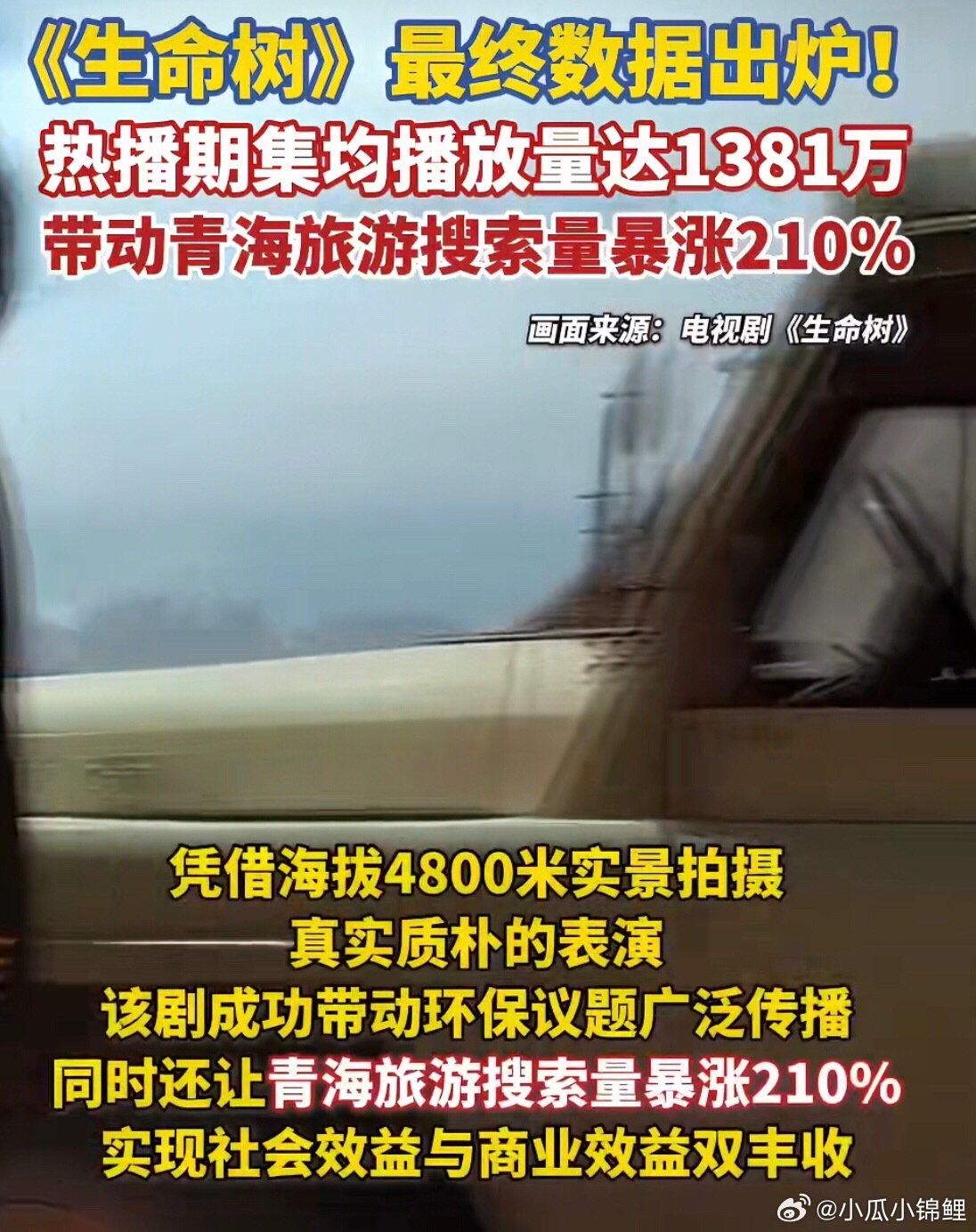 生命树带动青海旅游搜索量暴涨210%生命树带动青海旅游搜索量暴涨210%实现社会