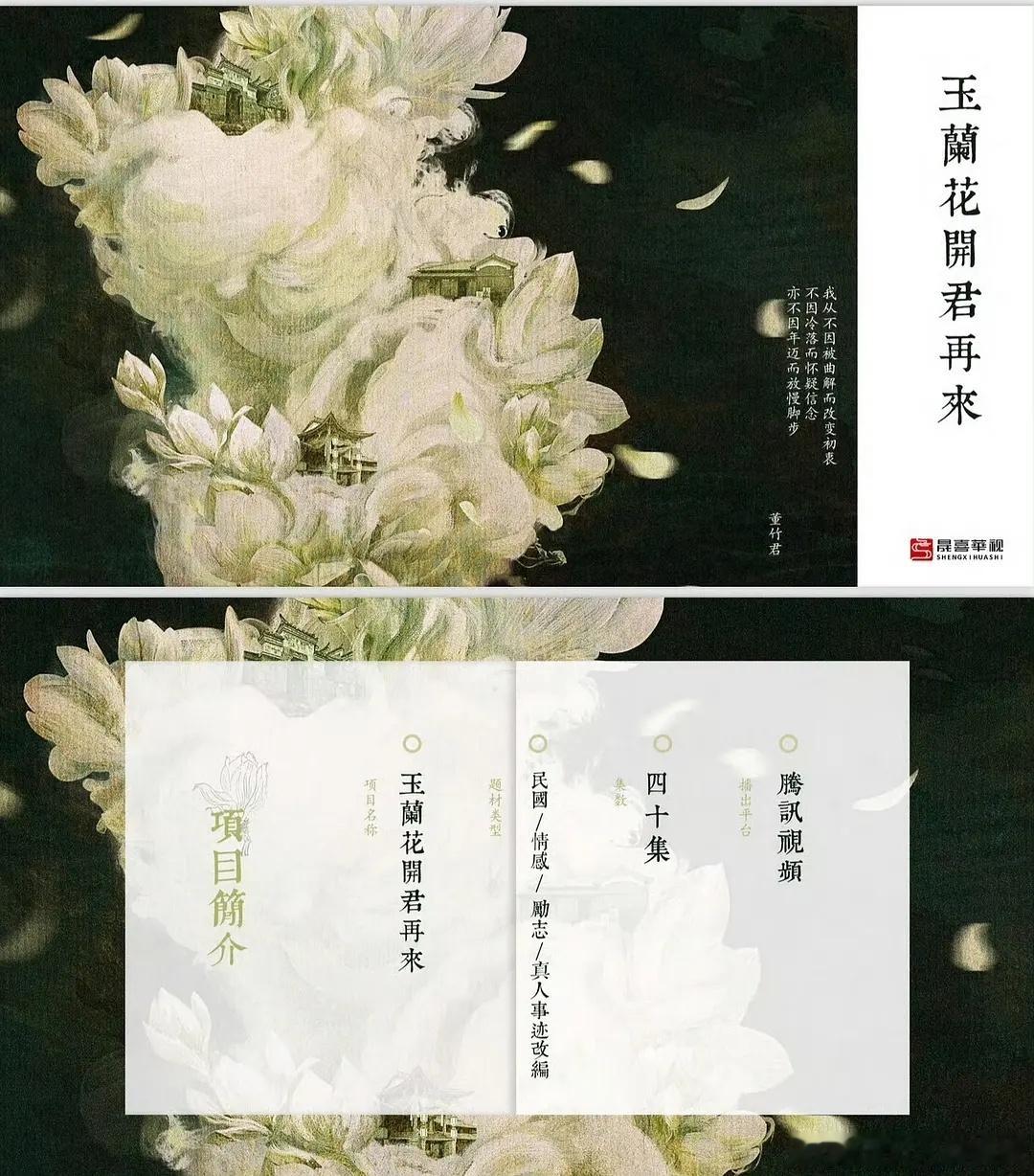 《玉兰花开君再来》项目书​​​