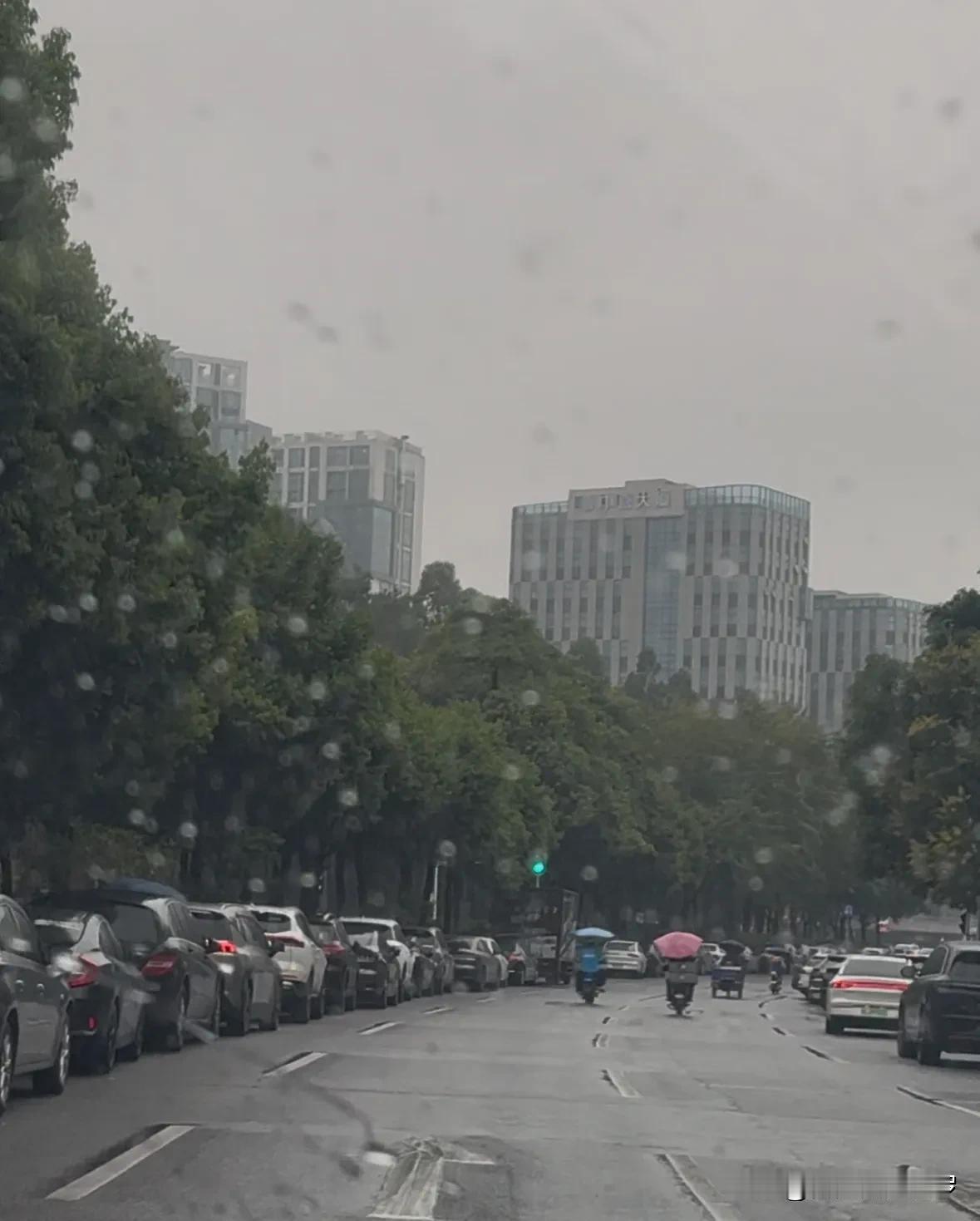 我很好奇：广州没有交警吗？为什么广州的违停现象，那么可怕！ 昨天开车经过嘉禾