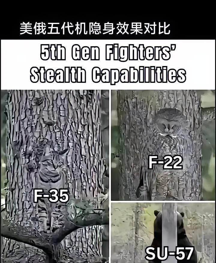 这张图算是把大俄和老美的五代机的隐身性能说明白了！有人会问为啥没有咱们的歼20，