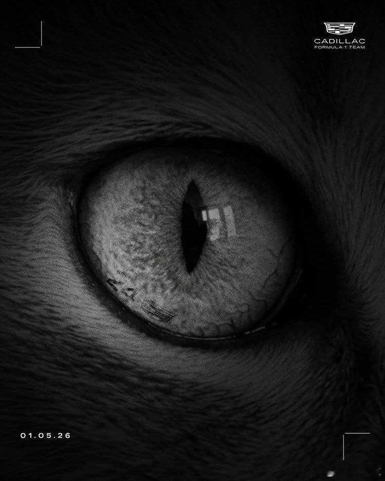 周冠宇凯迪拉克周冠宇今天刚确认离开法拉利，再看凯迪拉克F1那张海报，信息