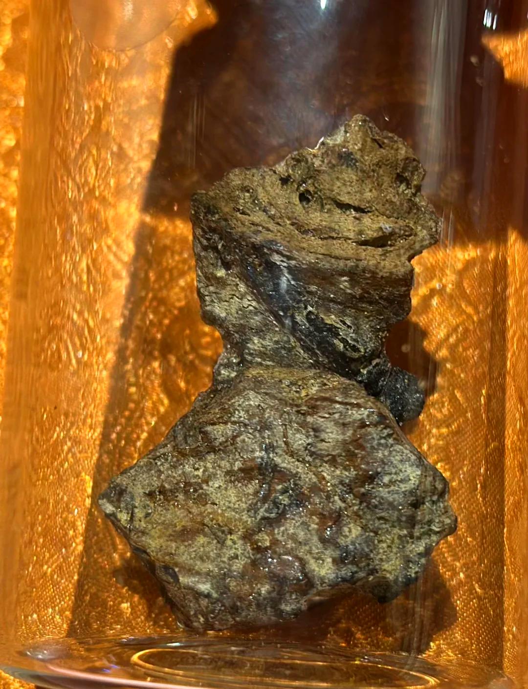 清朝的时候，在某条街上，有一个以卖肉为生的赵屠夫。当时广州有很多做生意的西洋人，