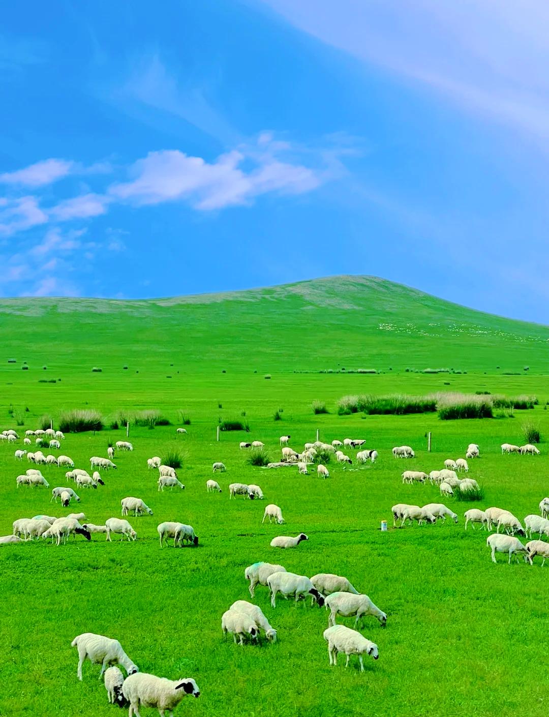 提到赤峰，我首先想到的就是那广袤无垠的草原。赤峰的贡格尔草原，水草丰美，骏马在草
