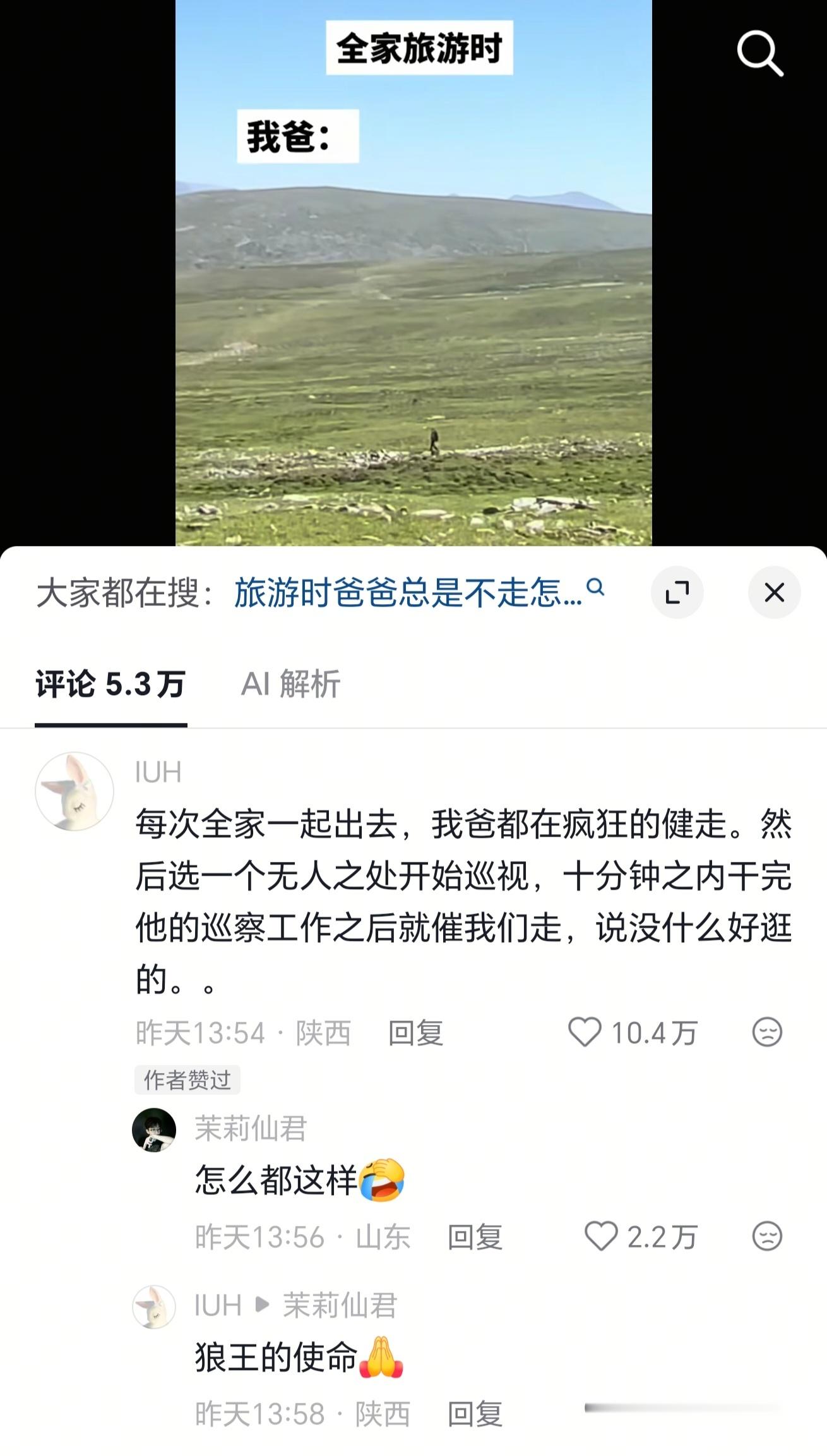 一旅游就化身孤独的狼