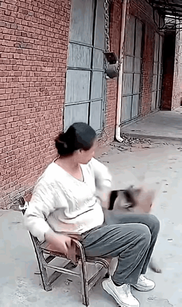 看完破防！“恶狗”疯狂撕咬女子，真相竟是用生命护她周全！