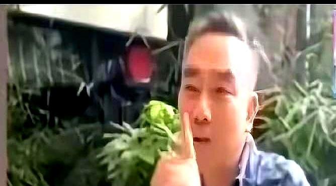 父亲的灵堂前，杨议送走最后一波宾客，转身就架起了直播手机。骂一句“小黑胖子”，