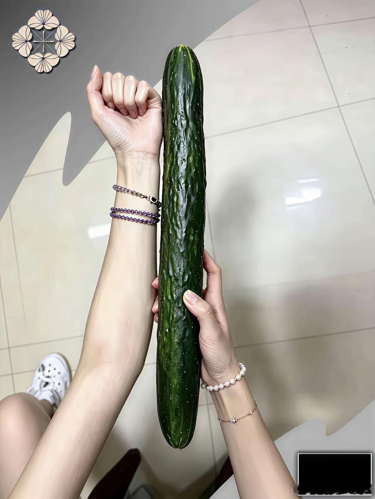 这个黄瓜目测绝对超过二斤了！真不知道谁会买，反正我不会买，一顿根本吃不完​​​