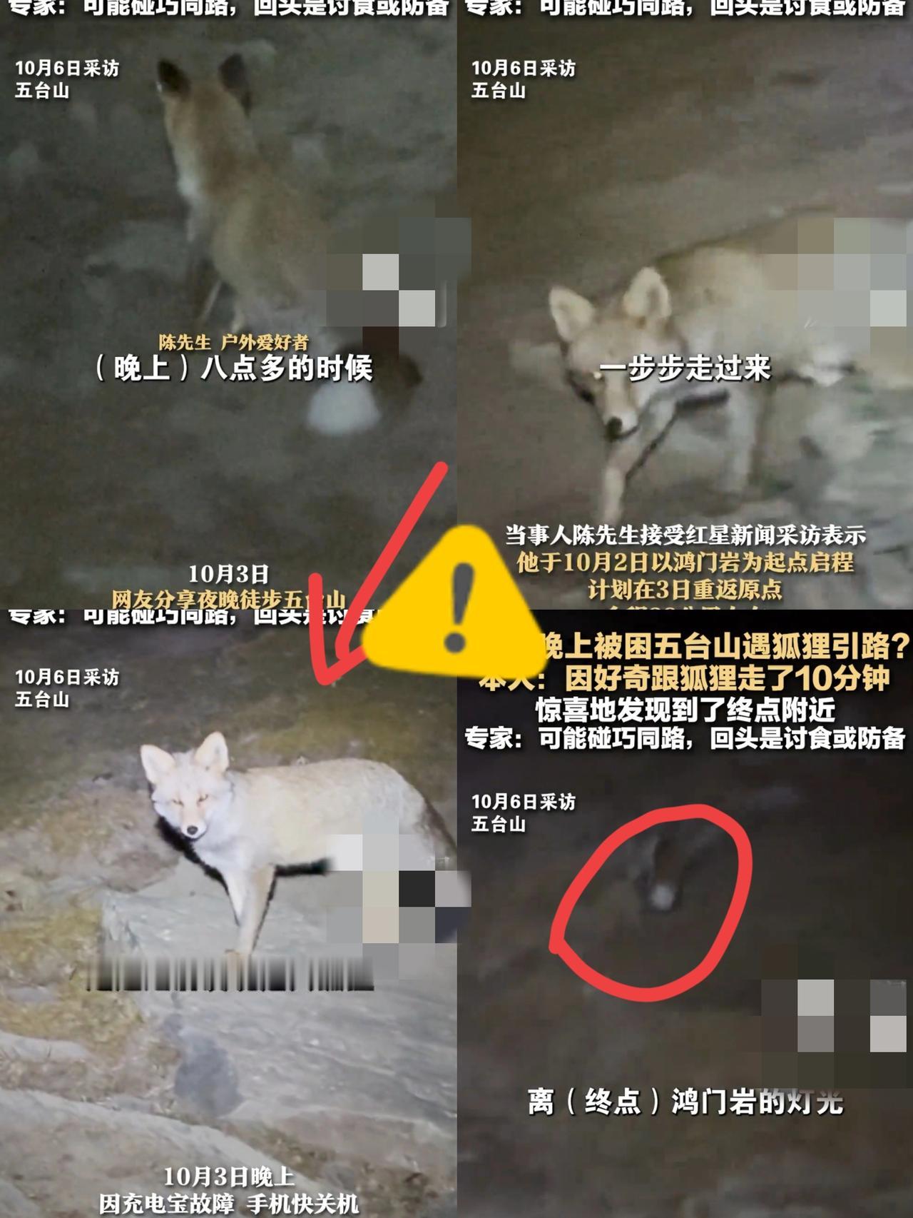 一觉睡醒在五台山的游客都沉默了，陈先生被困五台山，反被一只狐狸所救，10月2